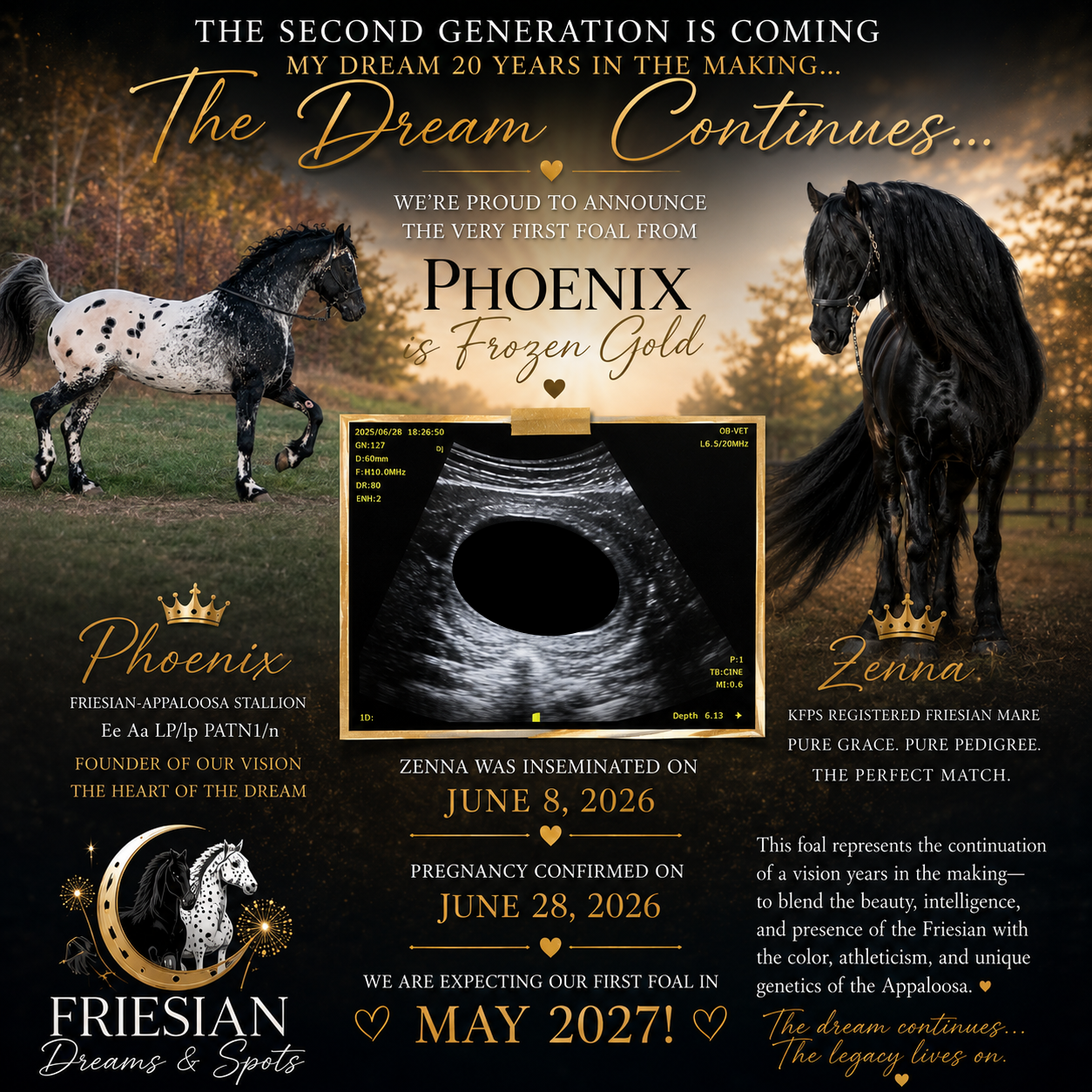 Phoenix and Zenna foal announcement — May 2027